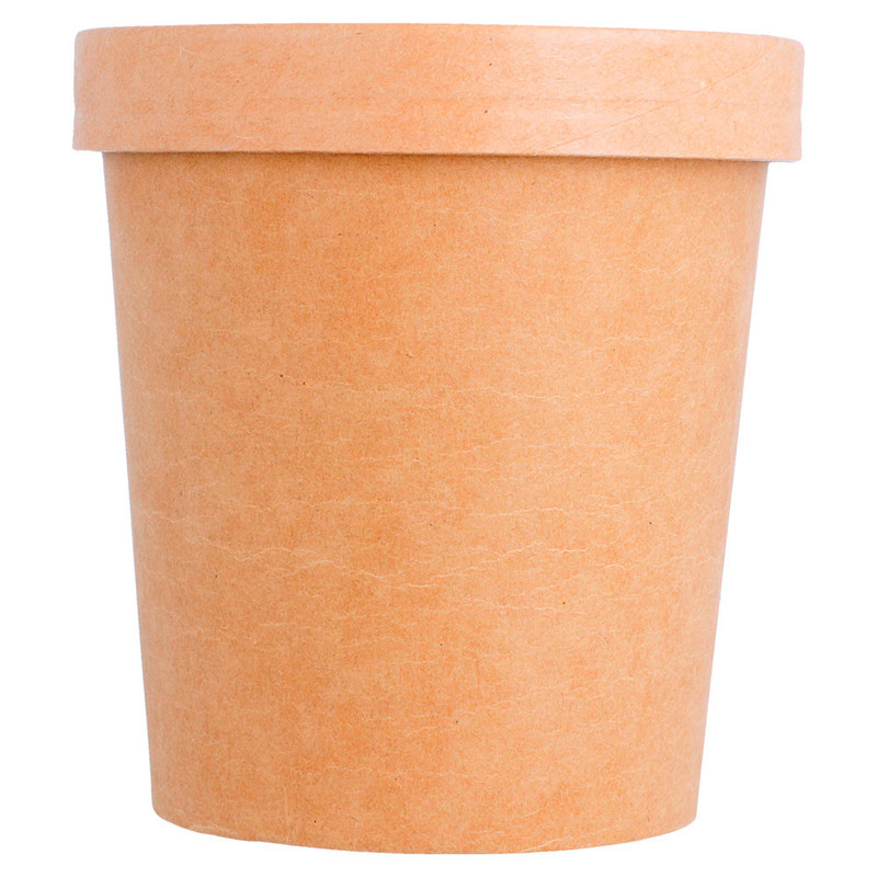 Kartonasta posoda za juho s pokrovom kraft 480 mL (25/1)  Juhe/212.60_IMG-01