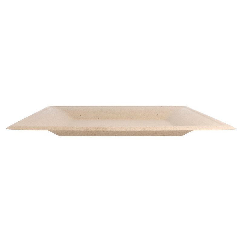 Bio krožnik KVADRAT Bionic iz ST - 26,2 x 26,2 cm (50/1) iz-sladkornega-trsa/150.55_IMG-01