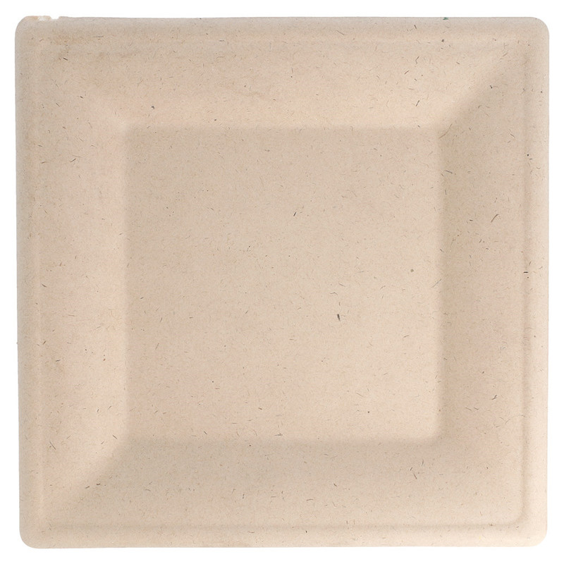 Bio krožnik KVADRAT Bionic iz ST - 26,2 x 26,2 cm (50/1) iz-sladkornega-trsa/150.55_IMG-02