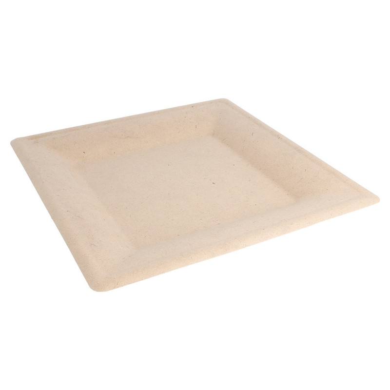 Bio krožnik KVADRAT Bionic iz ST - 26,2 x 26,2 cm (50/1) iz-sladkornega-trsa/150.55_IMG-MAIN